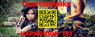 а пвп мука Ачхой-Мартан