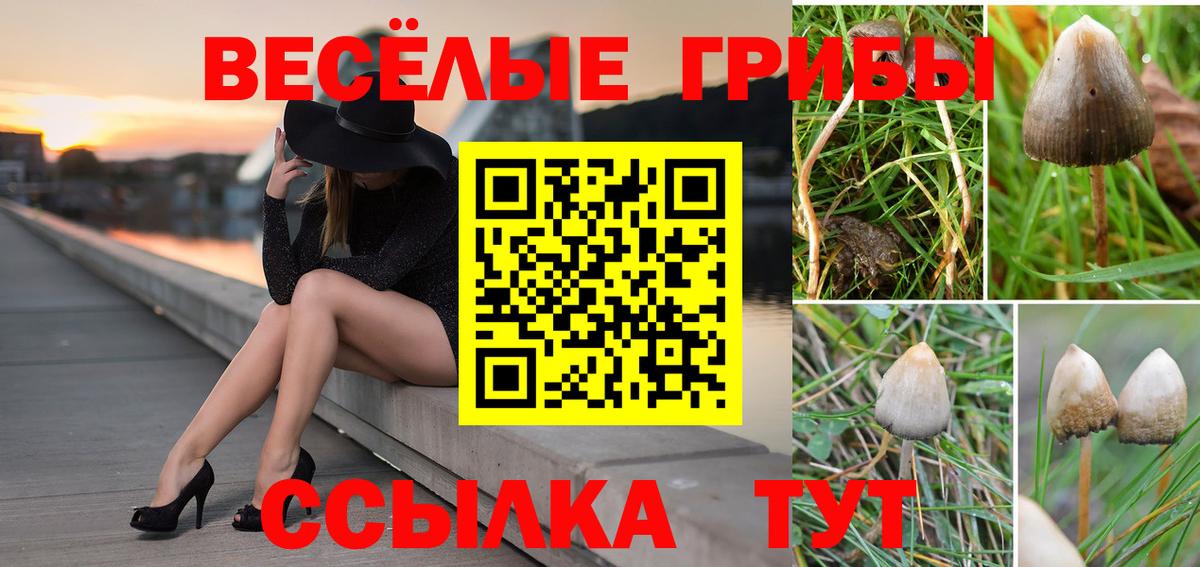 Псилоцибиновые грибы MAGIC MUSHROOMS Добрянка