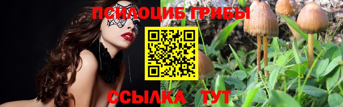 Псилоцибиновые грибы Psilocybine cubensis  Вход с VPN  Добрянка  Псилоцибиновые грибы Magic Shrooms 